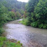 Review photo of The Last Resort RV Park & Campground by Elad L., July 30, 2021