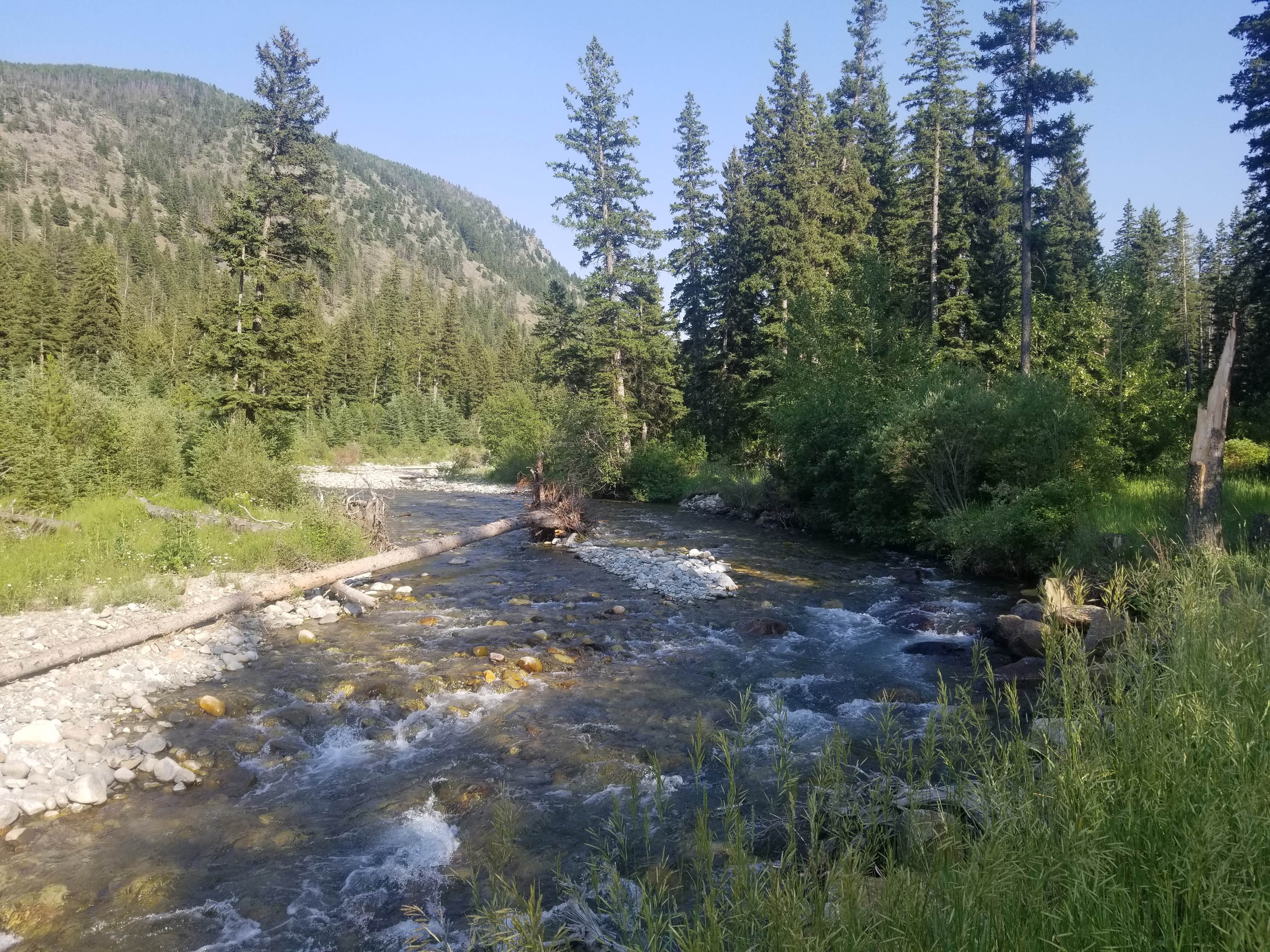 Camper submitted image from East Boulder Campground - 1