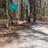 Review photo of Shad Landing Campground by Jean C., July 30, 2021