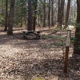 Review photo of Shad Landing Campground by Jean C., July 30, 2021