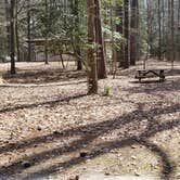 Review photo of Shad Landing Campground by Jean C., July 30, 2021