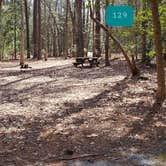 Review photo of Shad Landing Campground by Jean C., July 30, 2021