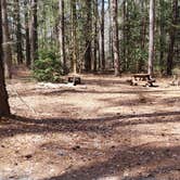 Review photo of Shad Landing Campground by Jean C., July 30, 2021