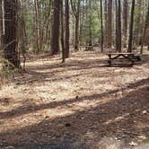 Review photo of Shad Landing Campground by Jean C., July 30, 2021