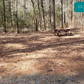 Review photo of Shad Landing Campground by Jean C., July 30, 2021