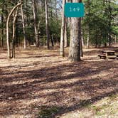 Review photo of Shad Landing Campground by Jean C., July 30, 2021