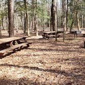 Review photo of Shad Landing Campground by Jean C., July 30, 2021