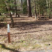 Review photo of Shad Landing Campground by Jean C., July 30, 2021