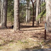 Review photo of Shad Landing Campground by Jean C., July 30, 2021