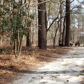 Review photo of Shad Landing Campground by Jean C., July 30, 2021