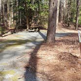 Review photo of Shad Landing Campground by Jean C., July 30, 2021