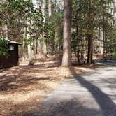 Review photo of Shad Landing Campground by Jean C., July 30, 2021