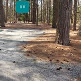 Review photo of Shad  Landing Campground by Jean C., July 30, 2021