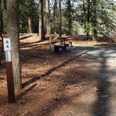 Review photo of Shad Landing Campground by Jean C., July 30, 2021