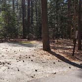 Review photo of Shad Landing Campground by Jean C., July 30, 2021