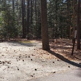 Review photo of Shad  Landing Campground by Jean C., July 30, 2021