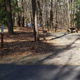 Review photo of Shad Landing Campground by Jean C., July 30, 2021