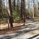 Review photo of Shad Landing Campground by Jean C., July 30, 2021