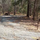 Review photo of Shad Landing Campground by Jean C., July 30, 2021