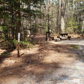 Review photo of Shad Landing Campground by Jean C., July 30, 2021