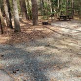 Review photo of Shad Landing Campground by Jean C., July 30, 2021