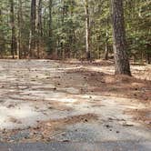 Review photo of Shad Landing Campground by Jean C., July 30, 2021