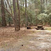 Review photo of Shad Landing Campground by Jean C., July 30, 2021