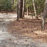 Review photo of Shad Landing Campground by Jean C., July 30, 2021