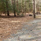 Review photo of Shad Landing Campground by Jean C., July 30, 2021