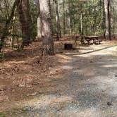 Review photo of Shad Landing Campground by Jean C., July 30, 2021