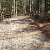 Review photo of Shad Landing Campground by Jean C., July 30, 2021