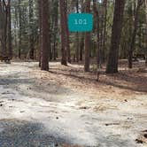 Review photo of Shad Landing Campground by Jean C., July 30, 2021