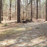 Review photo of Shad Landing Campground by Jean C., July 30, 2021