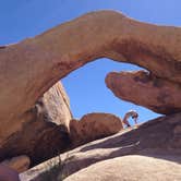 Review photo of White Tank Campground — Joshua Tree National Park by Crystal D., June 17, 2018