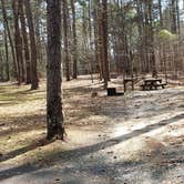 Review photo of Shad Landing Campground by Jean C., July 30, 2021