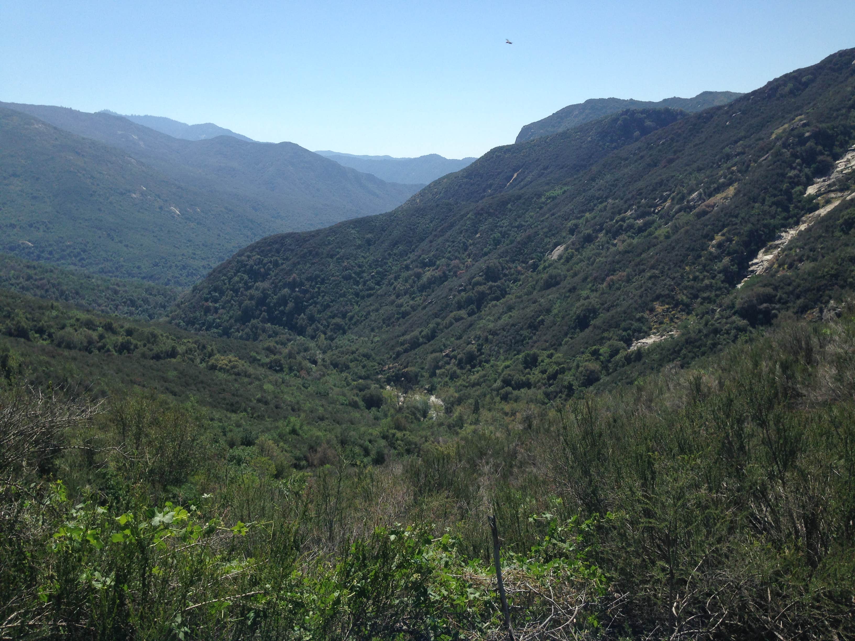 Camper submitted image from Sequoia National Forest Quaking Aspen Campground - 5