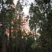 Review photo of Palomar Mountain State Park Campground by lordIrm , July 30, 2021