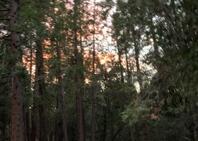 Doane Valley Campground - Palomar Mountain SP