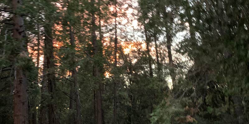 Camper submitted image from Palomar Mountain State Park Campground