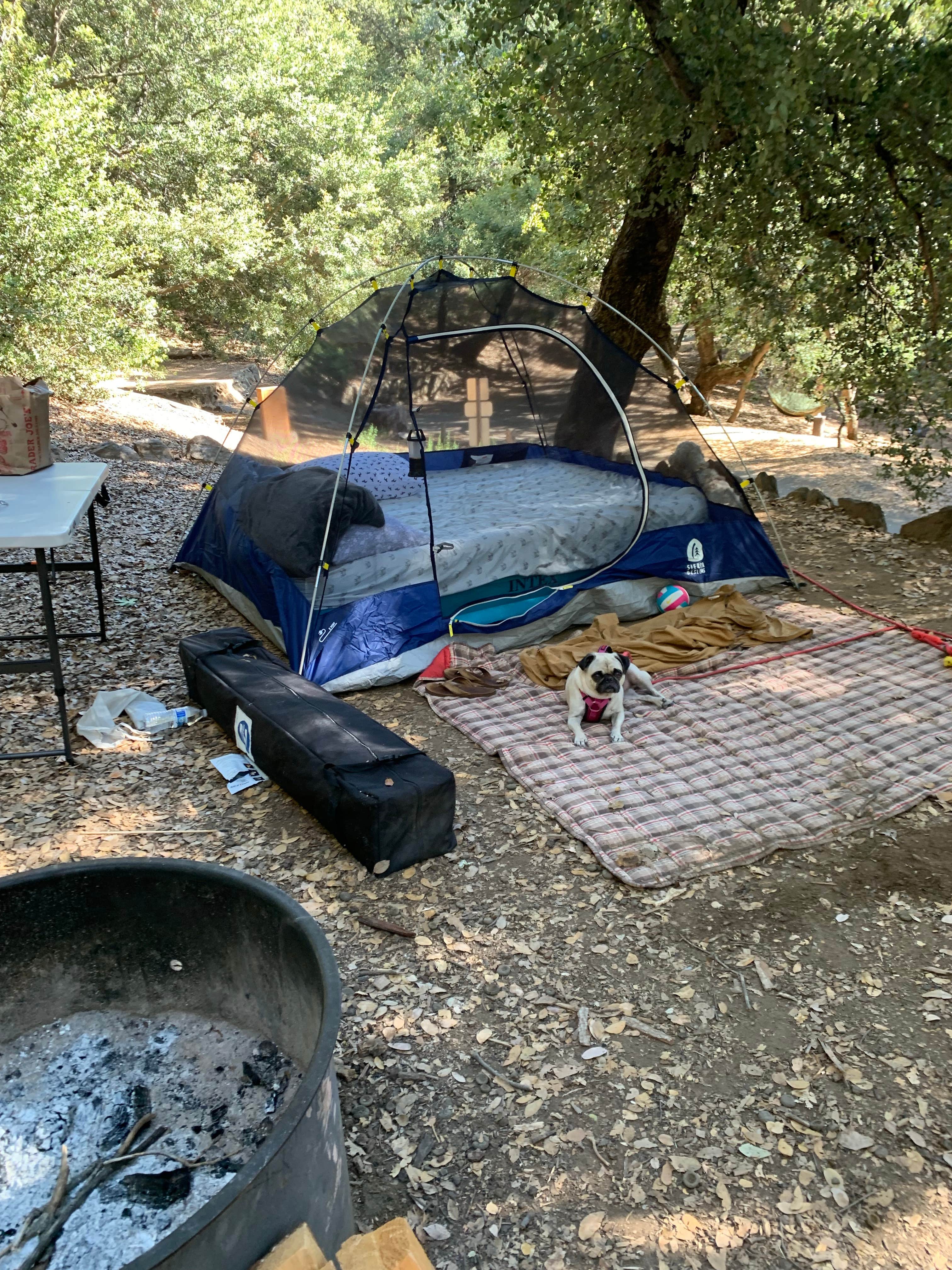 lordIrm's photo at Palomar Mountain State Park Campground near Aguanga, CA