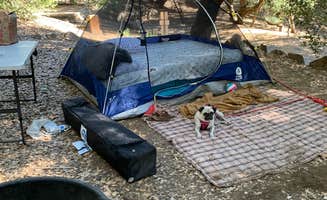 lordIrm's photo at Palomar Mountain State Park Campground near Cleveland National Forest