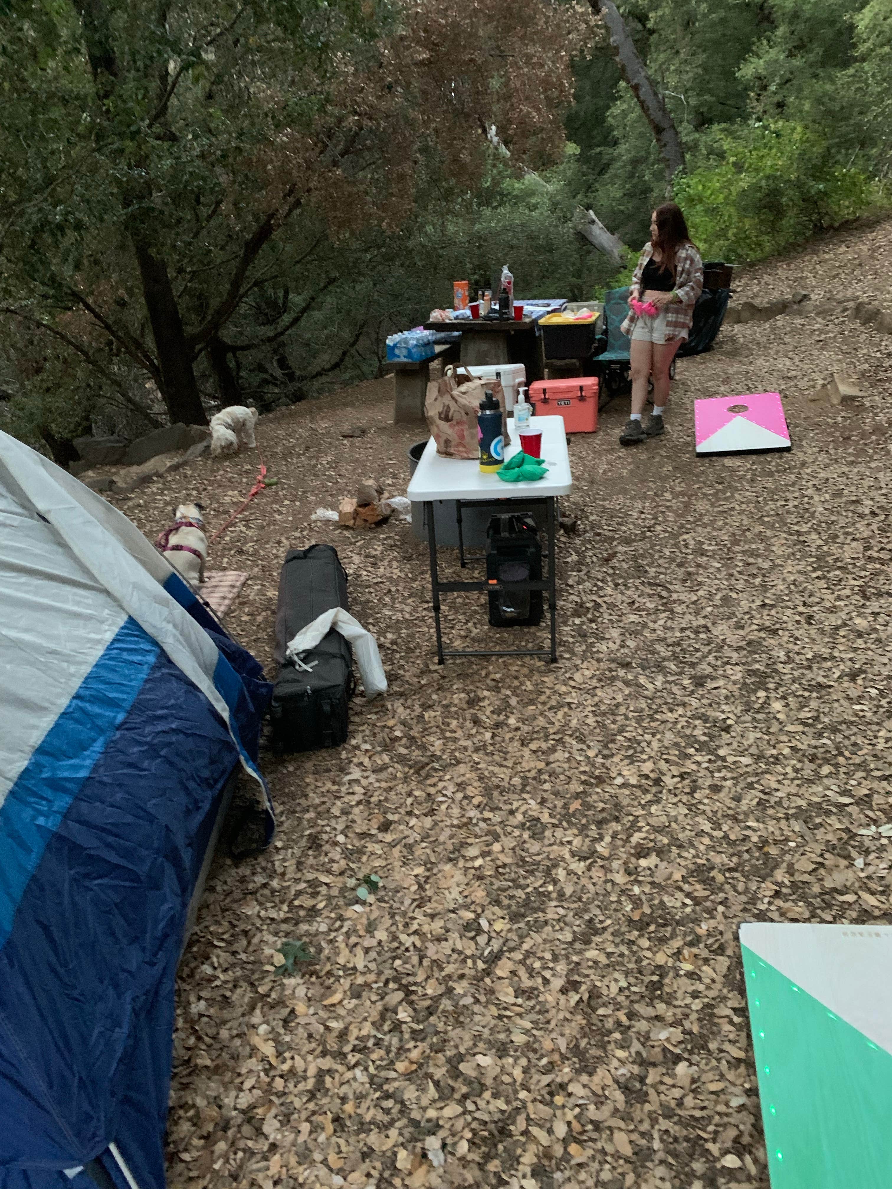 lordIrm's photo at Palomar Mountain State Park Campground near Aguanga, CA