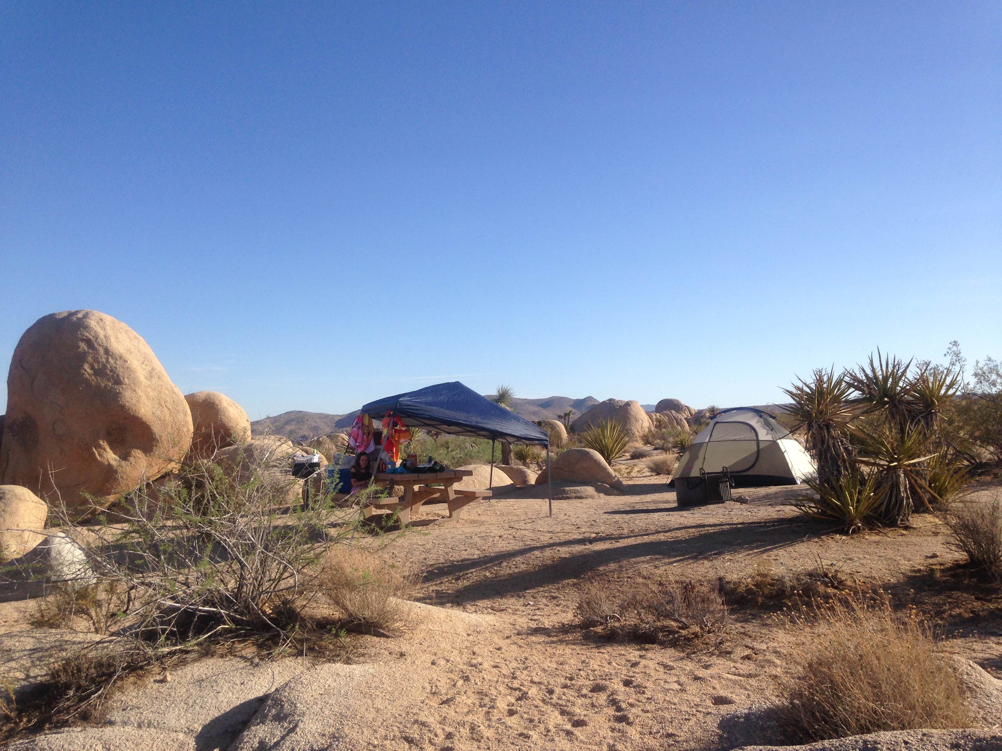 Crystal D.'s photo at White Tank Campground — Joshua Tree National Park near Joshua Tree National Park