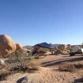 Review photo of White Tank Campground — Joshua Tree National Park by Crystal D., June 17, 2018