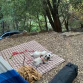 Review photo of Palomar Mountain State Park Campground by lordIrm , July 30, 2021