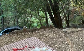 lordIrm's photo of camping with pets at Palomar Mountain State Park Campground near Cleveland National Forest
