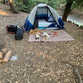 Review photo of Palomar Mountain State Park Campground by lordIrm , July 30, 2021