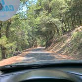 Review photo of Palomar Mountain State Park Campground by lordIrm , July 30, 2021