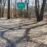 Review photo of Martinak State Park Campground by Jean C., July 30, 2021