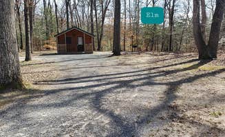 Jean C.'s photo of glamping accommodations at Martinak State Park Campground near Smyrna, DE
